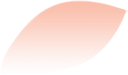 文章现场图片
