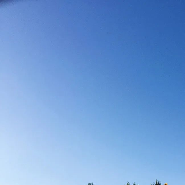 文章现场图片